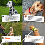 HARNAIS ANTI-TRACTION POUR CHIEN