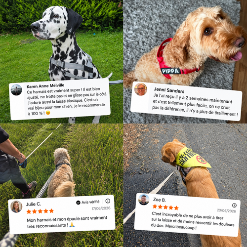 HARNAIS ANTI-TRACTION POUR CHIEN