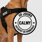 HARNAIS ANTI-TRACTION POUR CHIEN