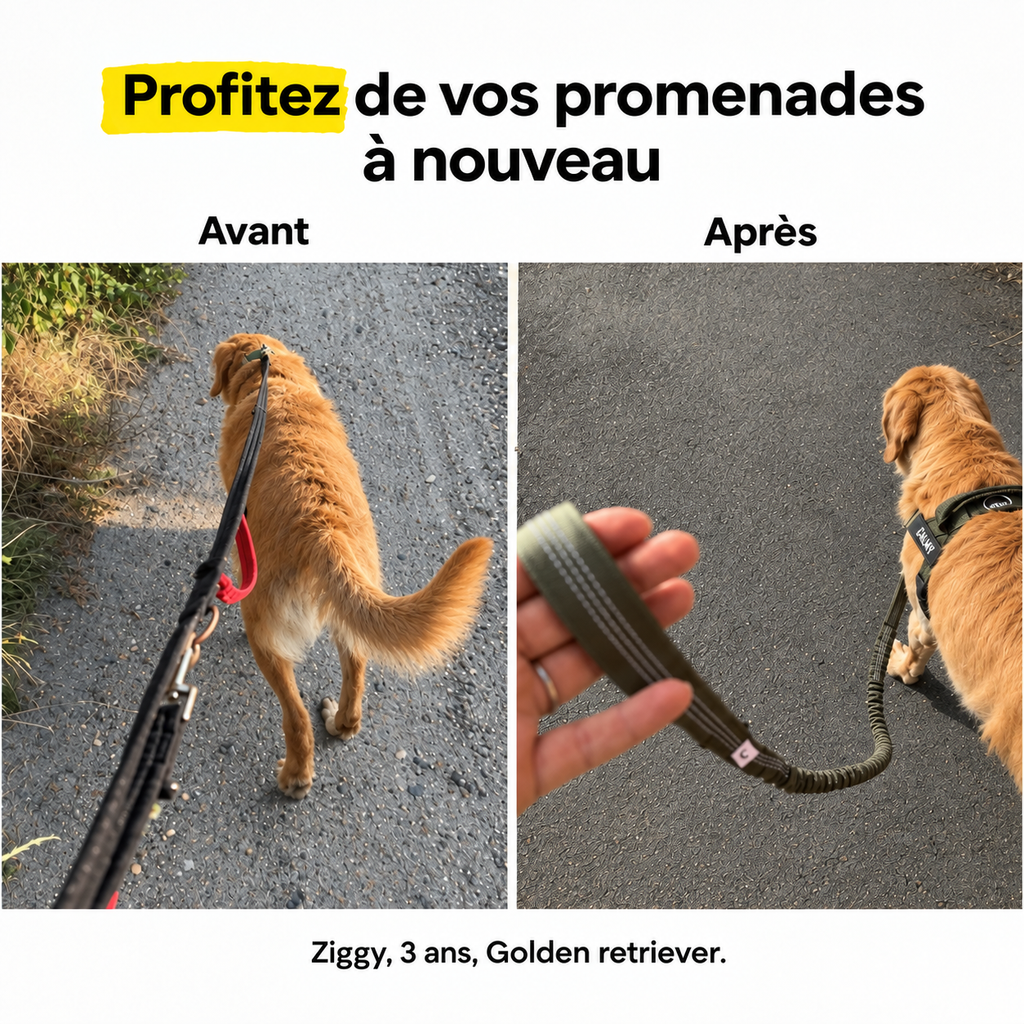 HARNAIS ANTI-TRACTION POUR CHIEN