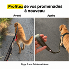 HARNAIS ANTI-TRACTION POUR CHIEN
