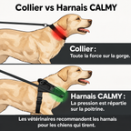 HARNAIS ANTI-TRACTION POUR CHIEN