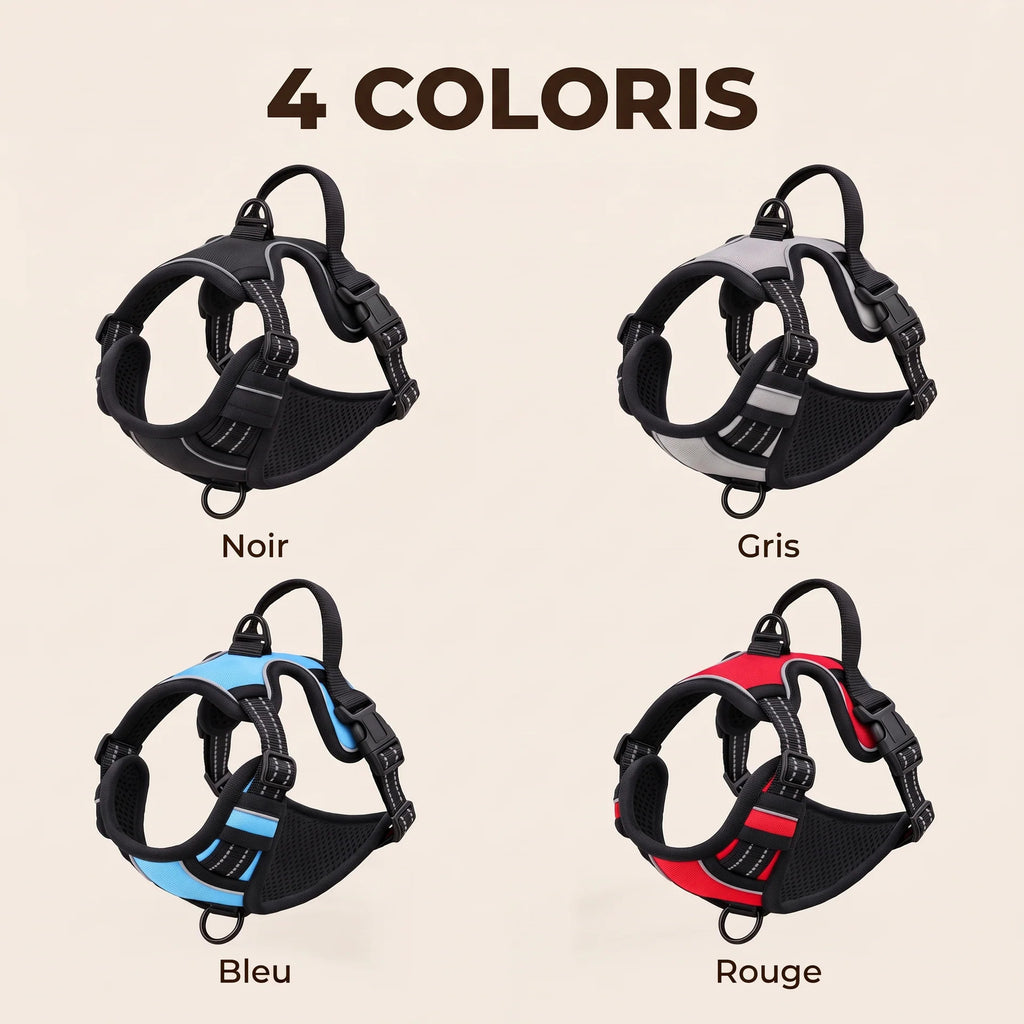 HARNAIS ANTI-TRACTION POUR CHIEN
