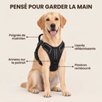 HARNAIS ANTI-TRACTION POUR CHIEN