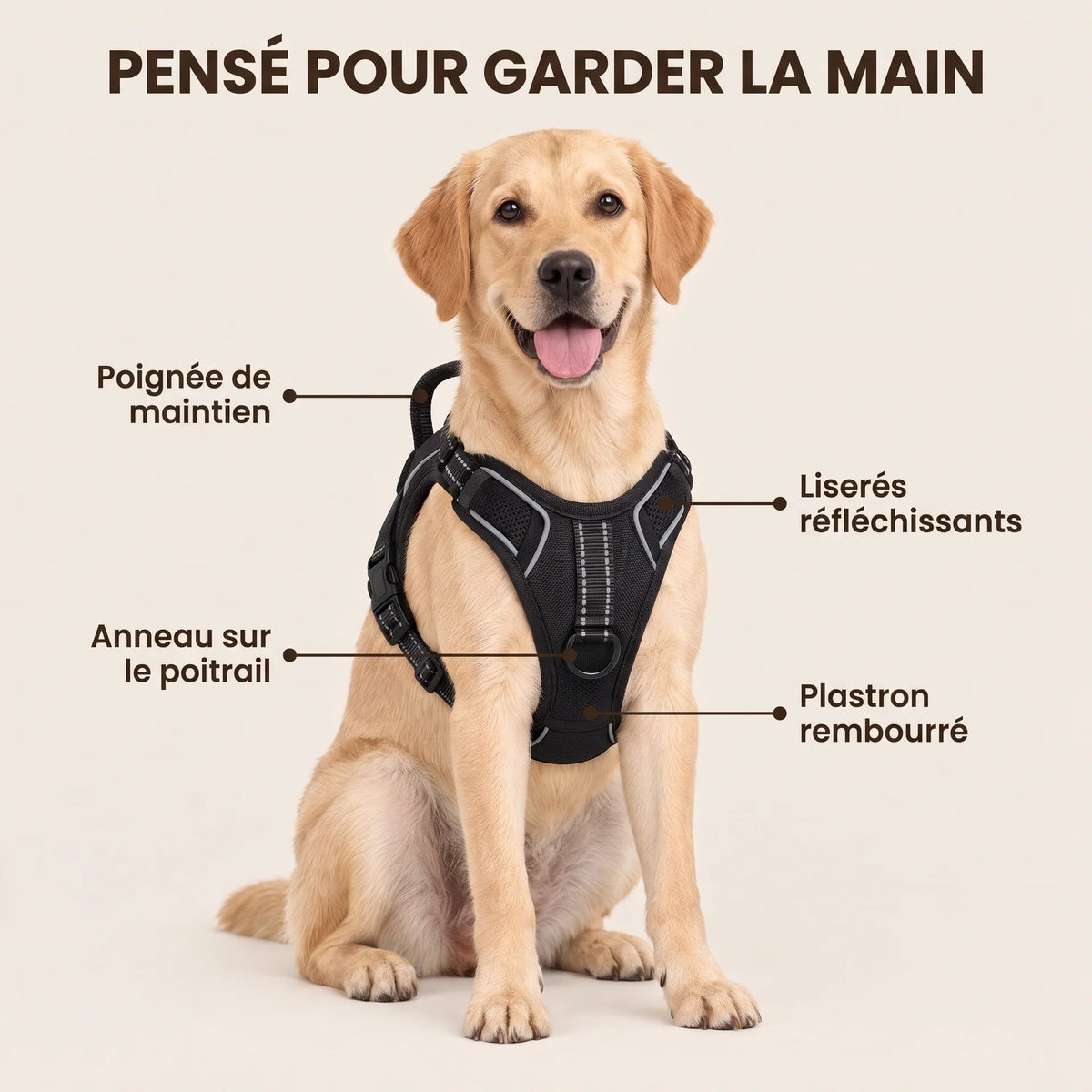 HARNAIS ANTI-TRACTION POUR CHIEN
