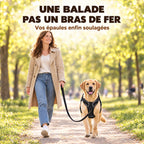 HARNAIS ANTI-TRACTION POUR CHIEN