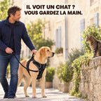 HARNAIS ANTI-TRACTION POUR CHIEN