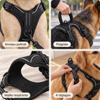 HARNAIS ANTI-TRACTION POUR CHIEN