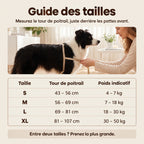 HARNAIS ANTI-TRACTION POUR CHIEN
