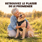 HARNAIS ANTI-TRACTION POUR CHIEN