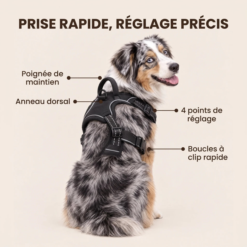 HARNAIS ANTI-TRACTION POUR CHIEN