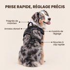 HARNAIS ANTI-TRACTION POUR CHIEN